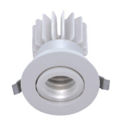 LED Down Light