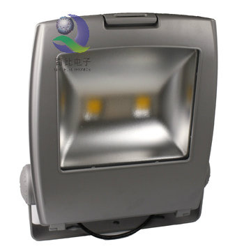 100W LED Flood Lights