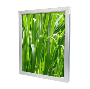 Advertising Display Slim LED Light Box