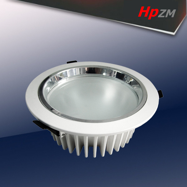 High Bright COB 20W LED Down Light