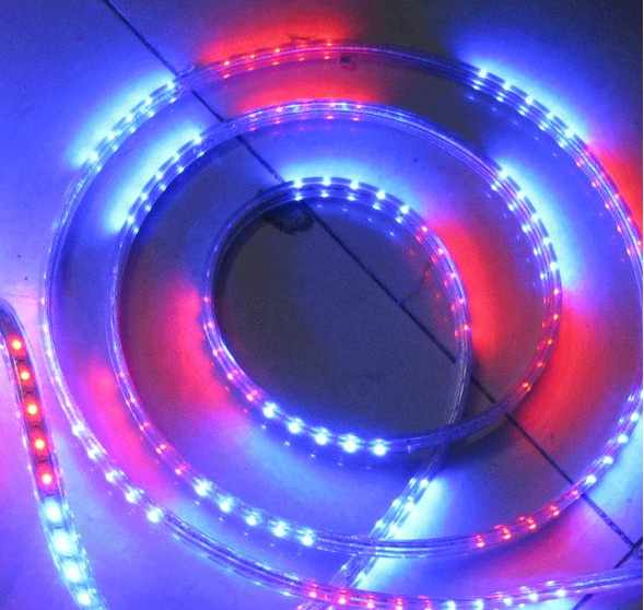 LED Flexible Light 5050 RGB Waterproof 220V