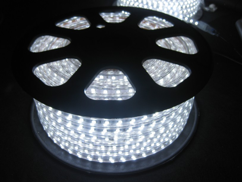 220V/110V LED Strip Light in Cool White Color