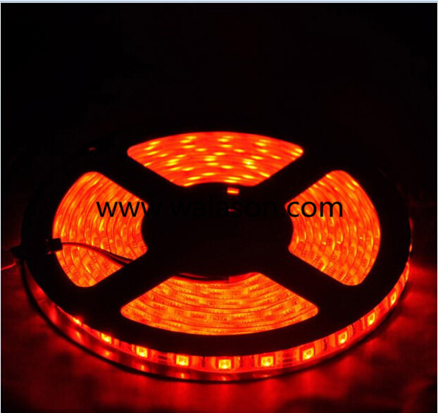 IP65 SMD 5050 DC12V LED Strip Light for Nightclub Decoration