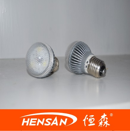LED Homelight