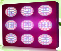 LED Grow Light for Aquarium