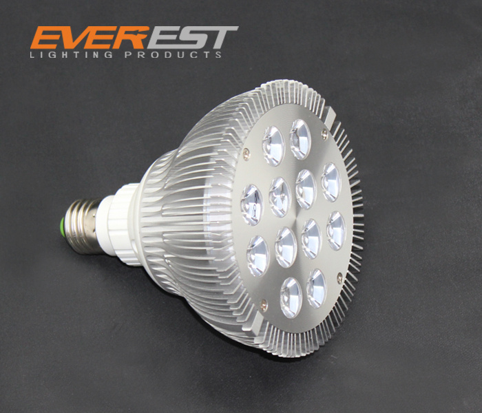 12W LED PAR Light
