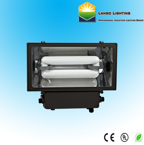 Induction Flood Light (LG0526-2)