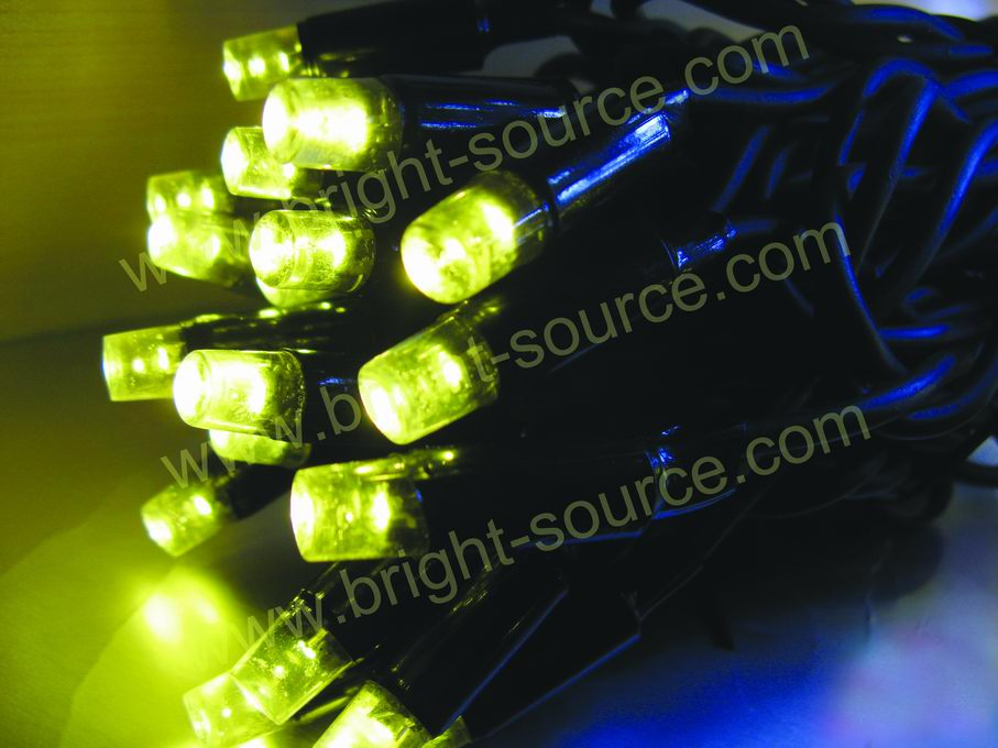 LED Light (LEDW080104)