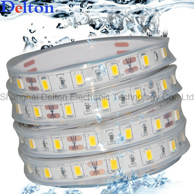 Waterproof CE Certificated Flexible LED Strip Light