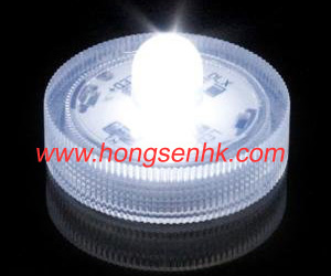 Submersible LED Light