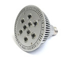 PAR38 LED Bulb