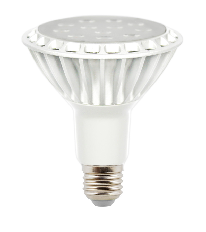 LED E27 PAR30 with CE&RoHS