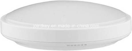 LED Ceiling Light