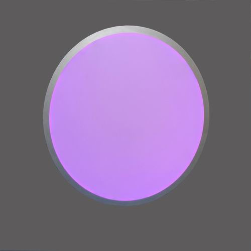 RGB Round LED Panel Light Colorchanging