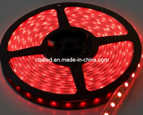 High Lumen 30LEDs Per Meter 5050 SMD 12V LED Strip Light