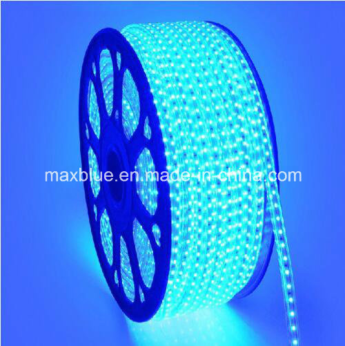 110V 220V 60LEDs/M 5050 SMD LED Strip Light