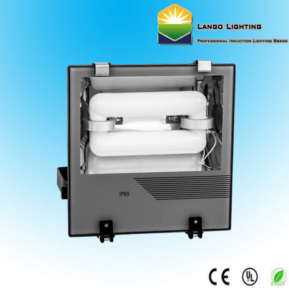Electrodeless Flood Light with 5 Years Warranty (LG0553-2s)