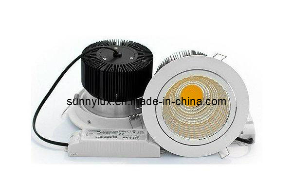 Bright 30W LED Downlight, Indoor Light