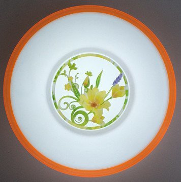 2015 New Product Qf-Yc Housing LED Ceiling Light