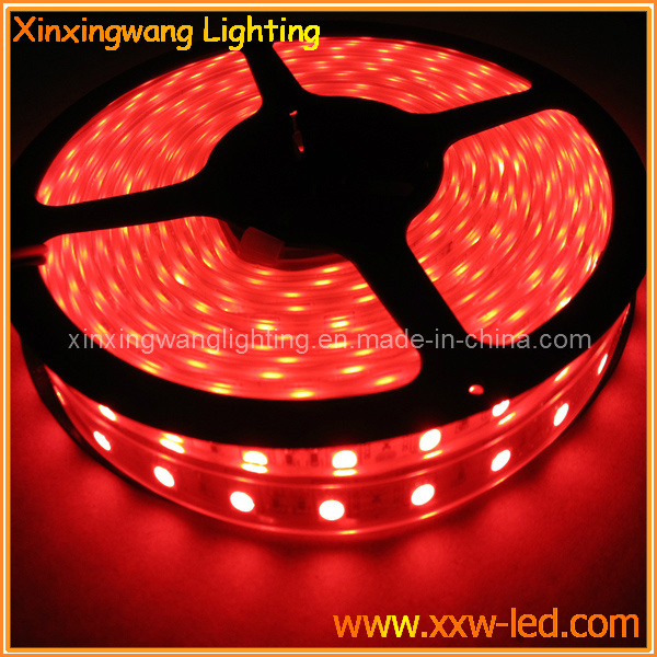 24V LED Strip Light 5050 RGB