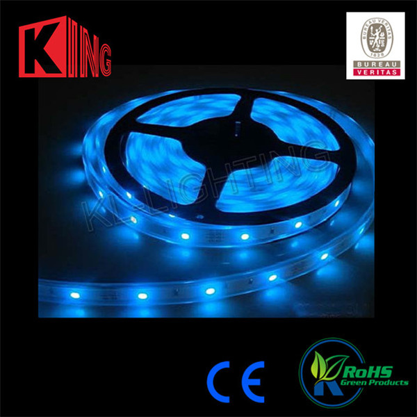 Shenzhen Manufacturer LED Holiday Light RGB LED Strip Light