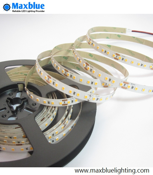 2500lm/M Superbright SMD LED Strip Light