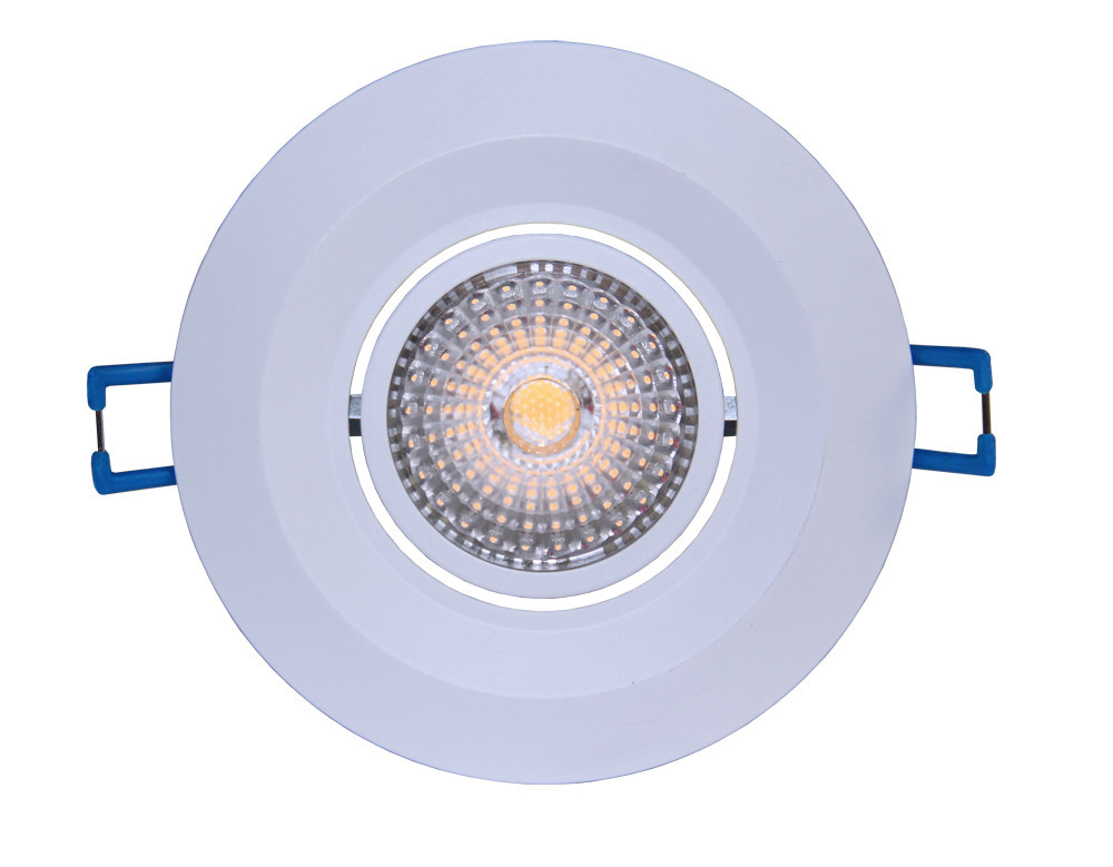 LED Recessed Down Light