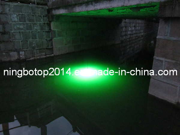 12V LED Fishing Lure Light