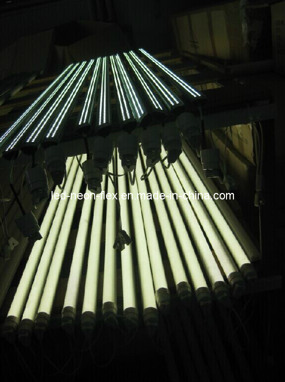 LED Tube Light