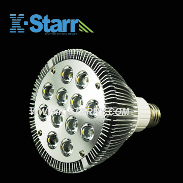 12*1W PAR38 LED Spotlight (KS-LAX-PAR38-12W1)