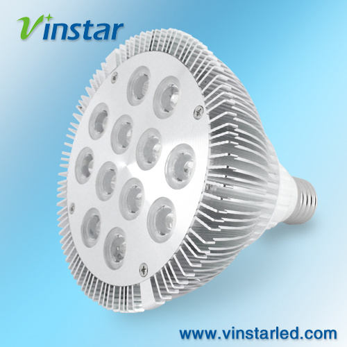 12W LED Spot Lights (VS1201)