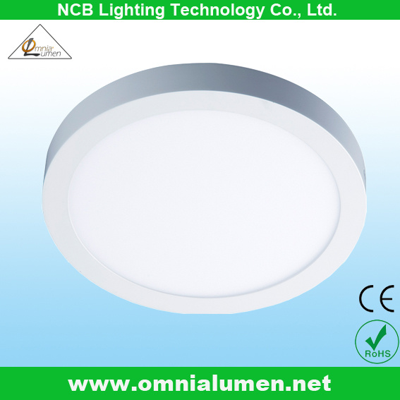 Surface Round Panel LED Ceiling Light 24W