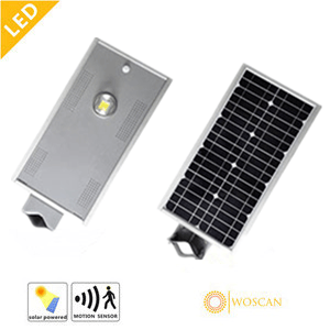 10W Integrated Sensor Garden/Street LED Light with Outdoor Lamp