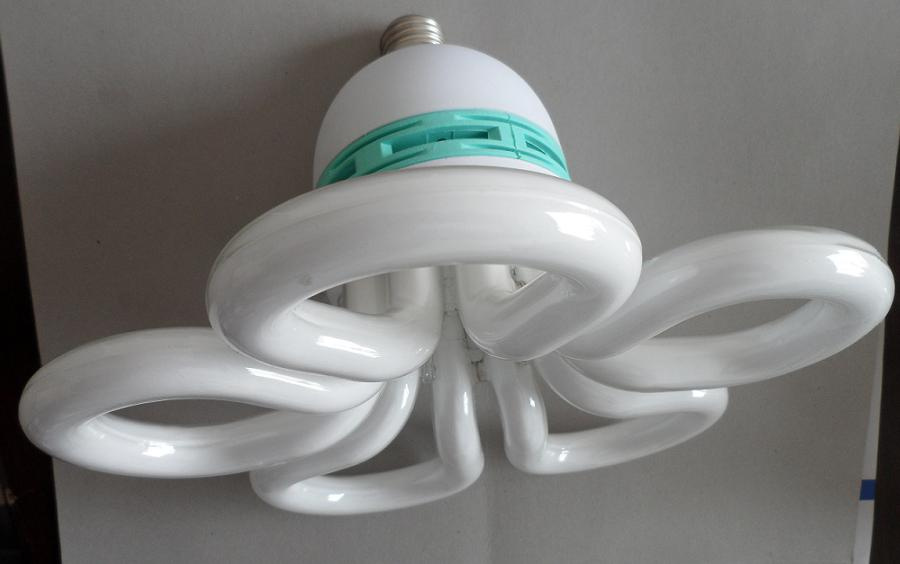Electronic Energy Saving Light (flower type)