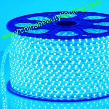 LED Light 230V/110V SMD5050 LED Strip Light