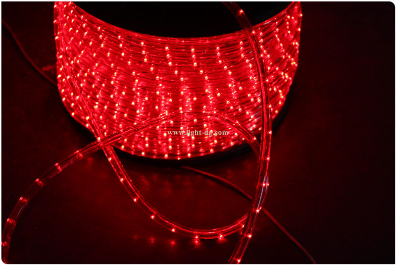 110V Steady 2 Wires LED Rope Light