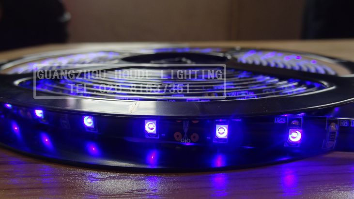 SMD3528 LED Flexible Strip Light High Quality