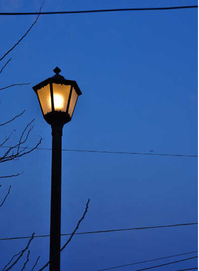 Best Quality 20W Garden Light with 3year Warranty (YCG20)