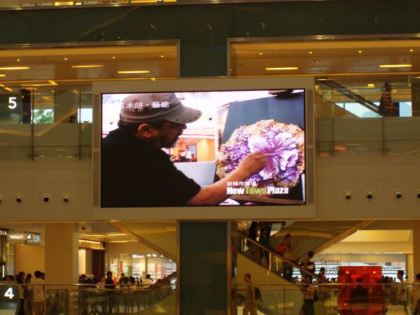 Outdoor Advertising LED Display