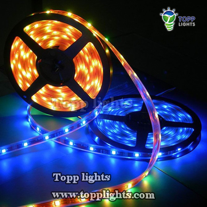 Epistar LED Strip Light (TP-3528-60-WW(B))