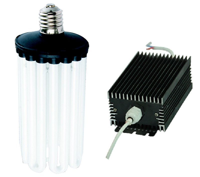 Outdoor Light (100W, FB Series)