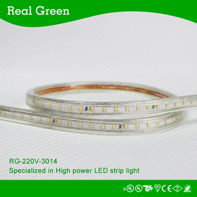 SMD3014 220V LED Strip Light