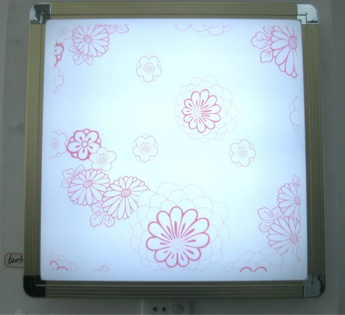 Dimmable LED Light/ LED Ceiling Light