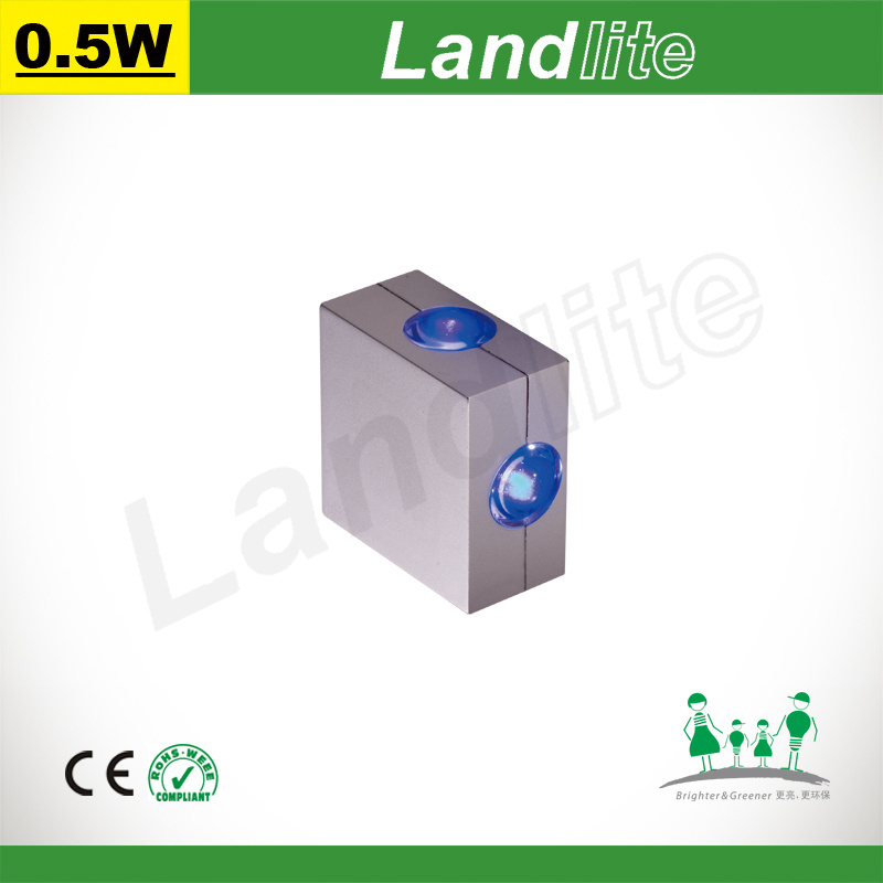LED Wall Lights (LDW-404)