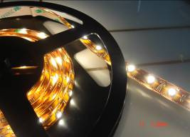 Waterproof 3528 Top LED Flexible Strip Light (120LED/Meter)