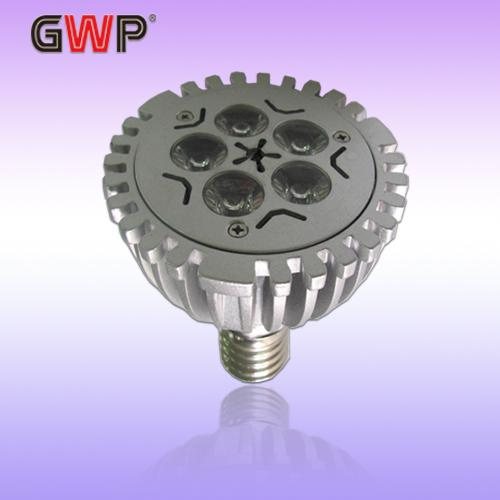 LED Spotlight PAR30 (5W)