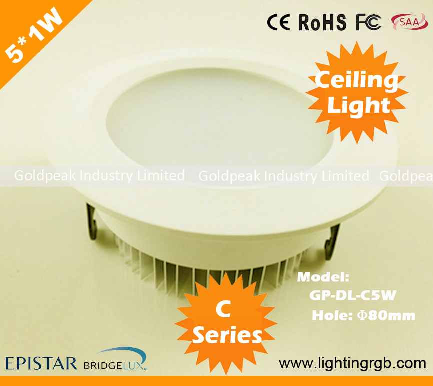 5730SMD 5W LED Ceiling Light/ LED Ceiling Lamp/ LED Down Light