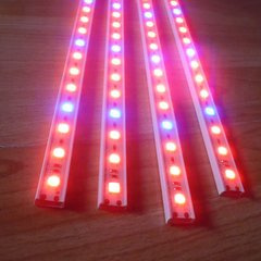 High Brightness 5050SMD LED Strip Light LED