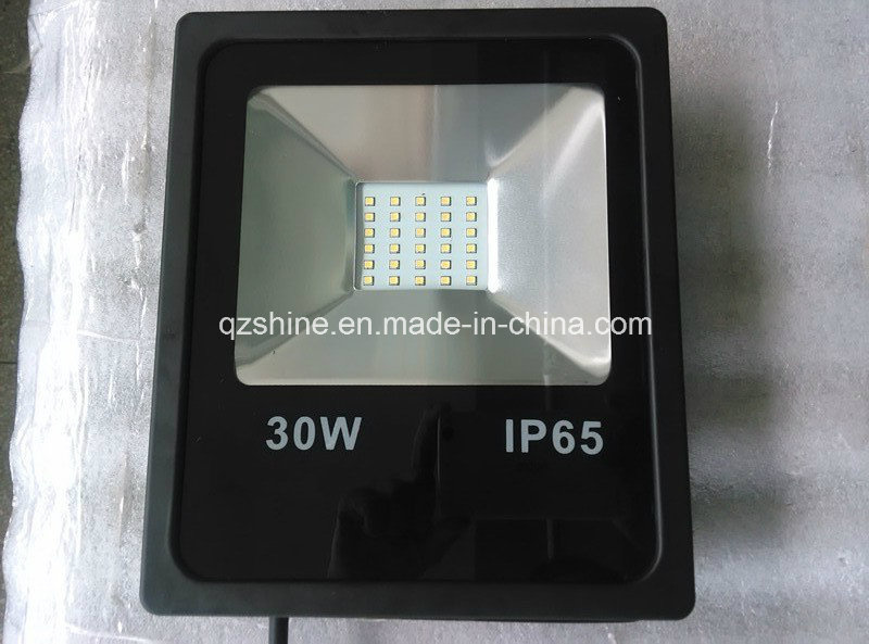 30W LED Floodlight Outdoor Cheap Light