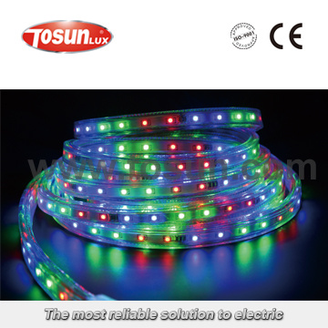 AC110V 220V High Voltage LED Strip Light